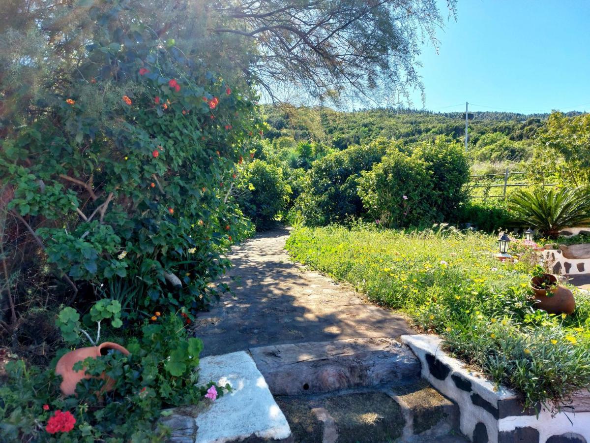 Ferienhaus El Jaral